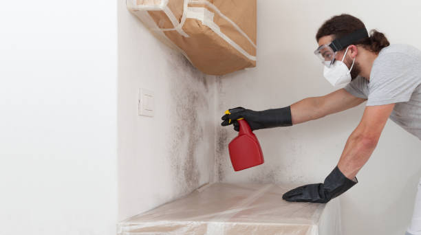 Professional Bathroom Mold Removal technician working in Issue, MD